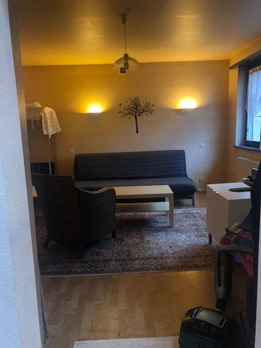 Maison De Village Pres De Colmar De 90 M2 Horbourg Екстериор снимка
